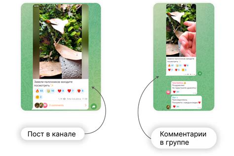 Оставить комментарий в Telegram. Поделитесь мнением в чате читателей Hi-News.ru