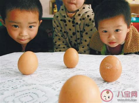 春分竖蛋是生鸡蛋还是熟鸡蛋 春分竖蛋的科学原理 _八宝网