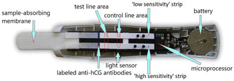 From Cereal Grains to Immunochemistry—What Role Have Antibodies Played ...
