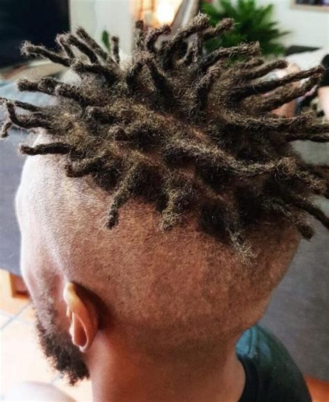 Image result for How to Start Dreadlocks