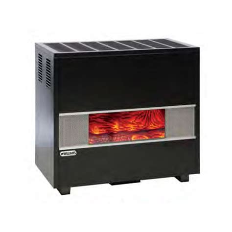 Williams Comfort Products Free Standing Vented Gas Floor Heater at Joel ...