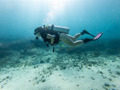 Scuba Diving in La Paz | Jason Daniel Shaw