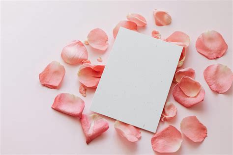 Invitation Card Design Background 的图像结果