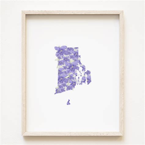 RHODE ISLAND State Flower Map: Violet: PRINT — Turn-of-the-Centuries