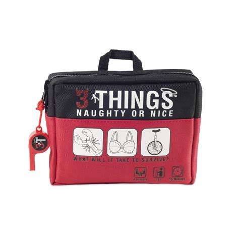 Buy Shenanigames adult party games: 3 Things Naughty & Nice – Bring Out ...