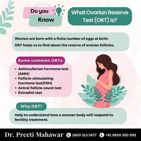 Image result for Ovary Function Test