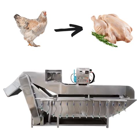 Small Commercial Chicken Processing 的图像结果