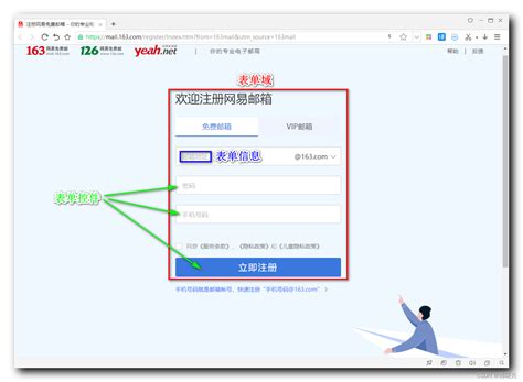 Html Input 的图像结果