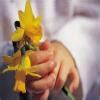 How many different arrangements can be made beginning with ‘A’ and ...