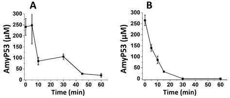 AmyP53, a Therapeutic Peptide Candidate for the Treatment of Alzheimer ...