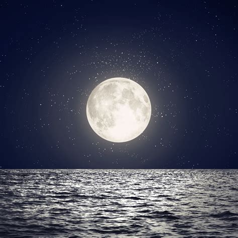 Small Crescent Moon Shape