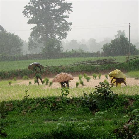 Organic Agriculture 的图像结果