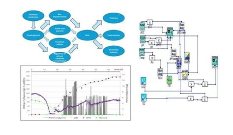 High-Yield Production of Dihydroxyacetone from Crude Glycerol in Fed ...