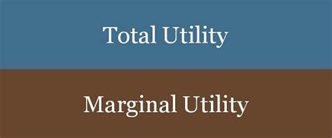 Total Utility And Marginal Utility Graph 的图像结果