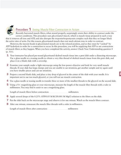 Image result for Muscle Fiber Contraction Experiment