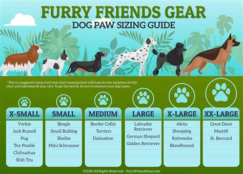 Dog Paw Size Chart Dog Shoes Boots Paw Protection From Rain Kasut