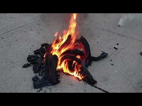 Image result for Snakes Exploding