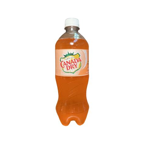 Canada Dry Peach Ginger Ale Soda, 20 fl oz, 24 Pack - Walmart.com