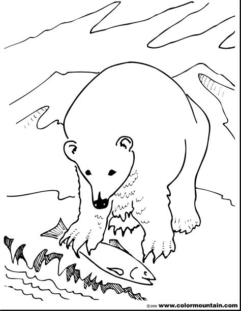Polar Bear Coloring Pages at GetColorings.com | Free printable ...