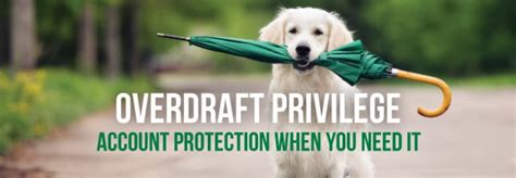 Image result for Overdraft Privilege Clip Art