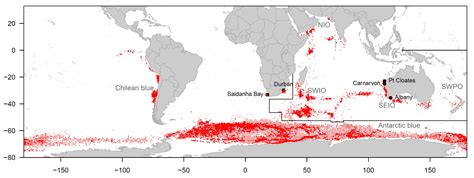 Blue Whales Habitat
