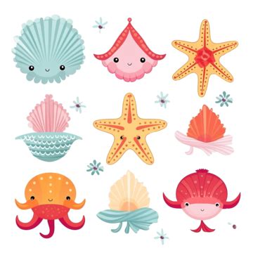 Shell 的图像结果