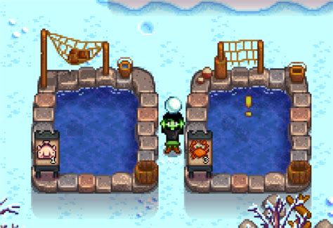 How to Get a Pearl in Stardew Valley (5 Methods and Benefits)