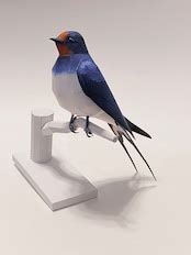 ツバメ ペーパークラフト｜Barn Swallow Papercraft | 紙鳥屋