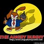 Image result for Funny Angry Bunny