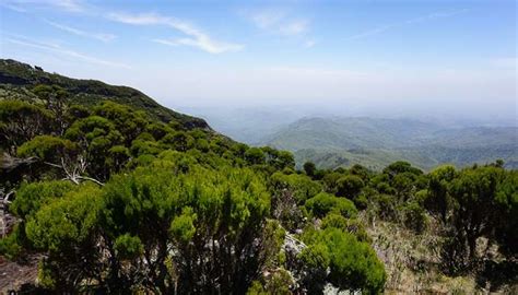 Aberdare Range To Explore Right Above The African Plains In 2025