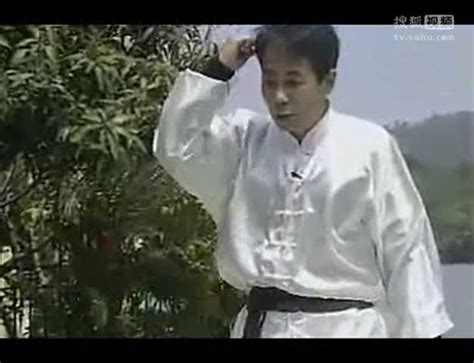 虎鹤双形拳教学视频上（精品教学）-体育视频-搜狐视频