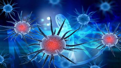 Coronavirus crisis: Hot summer unlikely to slow down virus; infection ...