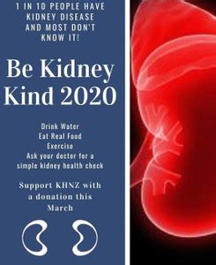 Human Kidney Anatomy Poster for Hospital Poster Nursing Home Poster ...