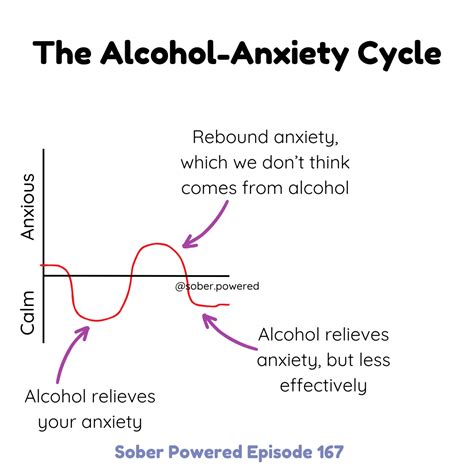 What to Expect With Your Anxiety When You Quit Drinking — Sober Powered