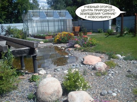 Путешествие в "природное земледелие" — Сияние