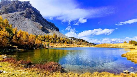 Image result for API Basic Example