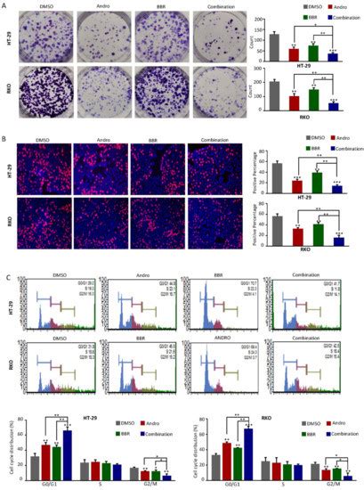A Combined Treatment with Berberine and Andrographis Exhibits Enhanced ...