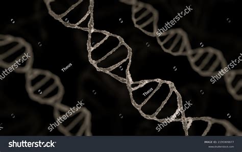 DNA Electron Microscope 的图像结果