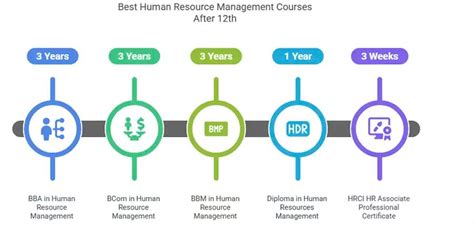 Best Human Resource Management Courses After 12th
