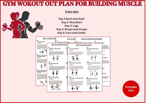 Image result for Muscle Building Weekly Workout Plan
