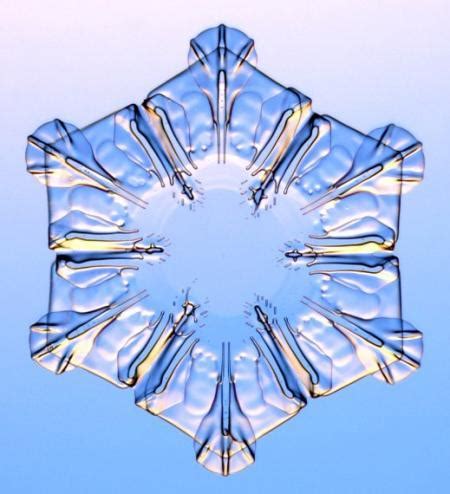 Random Thread Pics 的图像结果