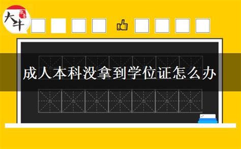 成人本科未取得学位怎么办 本科毕业没有学位证书补救 - 考研资讯 - 尚恩教育网