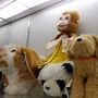 Image result for Stuffed Animal Collection