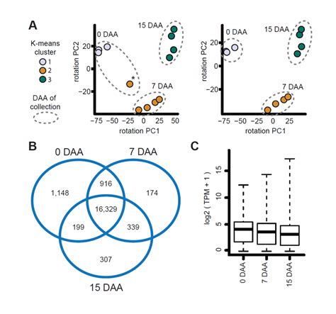 Transcriptome Analysis Example 的图像结果