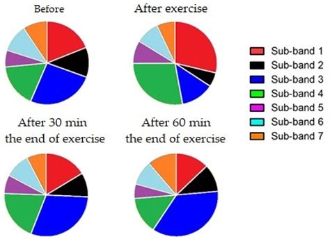 Central and Peripheral Fatigue Evaluation during Physical Exercise in ...