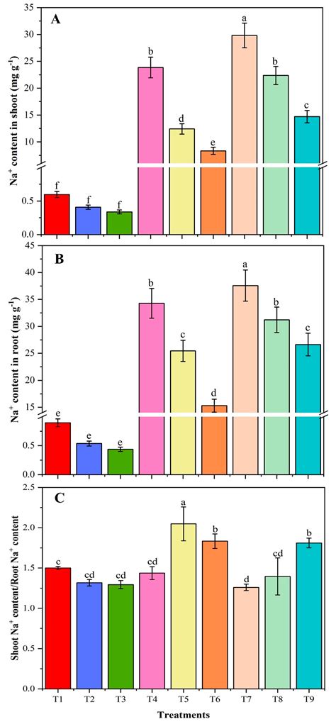 Chitosan Modified Biochar Increases Soybean (Glycine max L.) Resistance ...