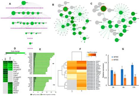 IJMS | Special Issue : State-of-the-Art Bioactives and Nutraceuticals ...