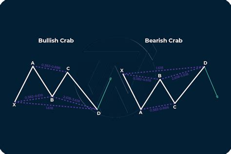 Image result for Harmonic Patterns Tutorial