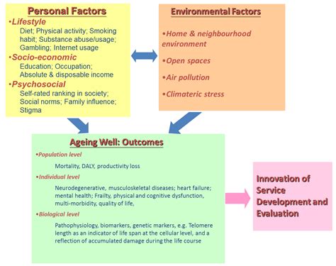 Designing Fit for Purpose Health and Social Services for Ageing Populations