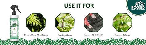 Rooted Neem Oil Spray (250ml) for Plants and Gardens, Ready to Use ...